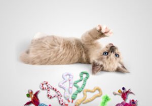 Juguetes para gatos.
